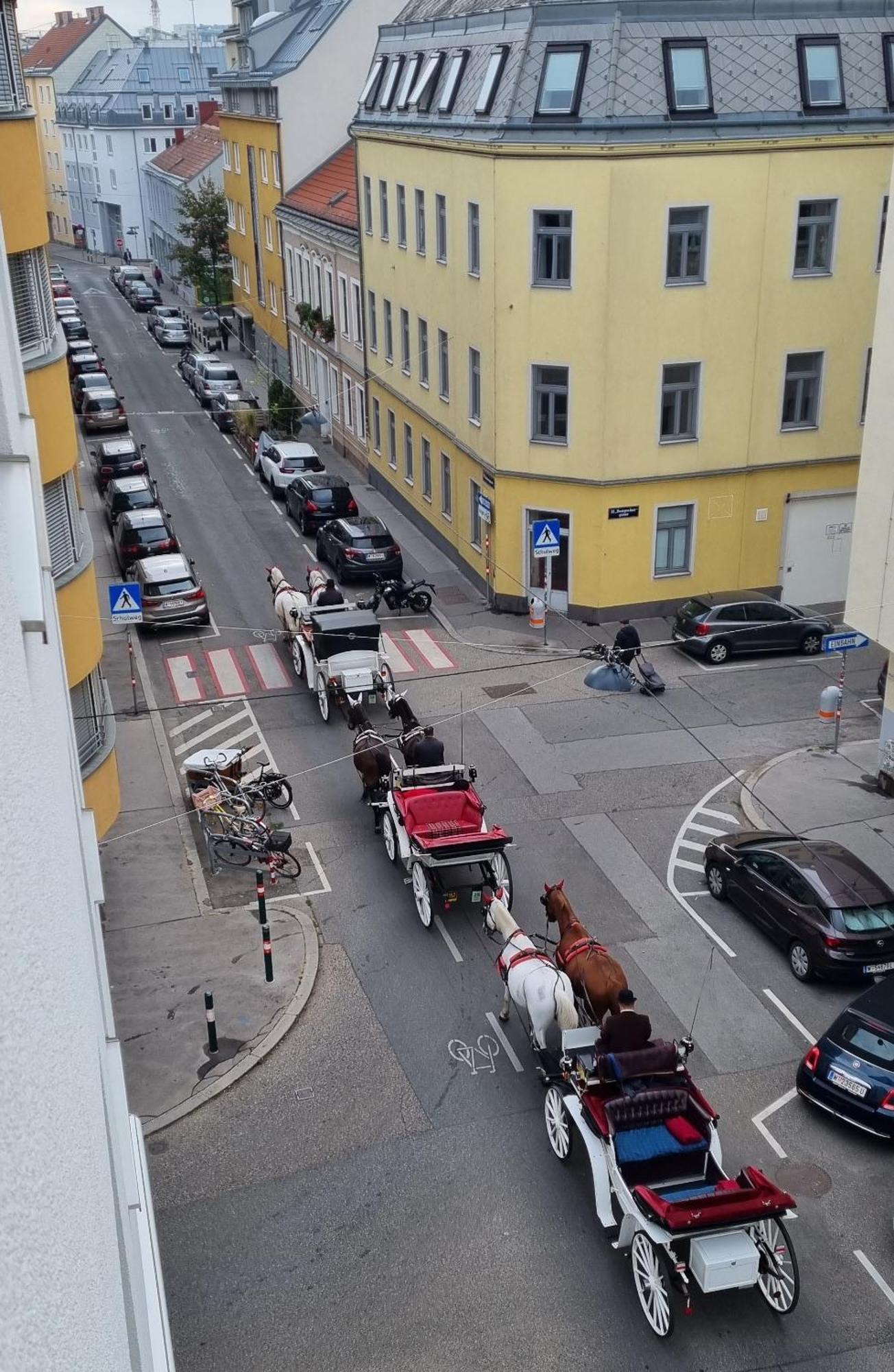 Vienna-Royal-Apartment エクステリア 写真